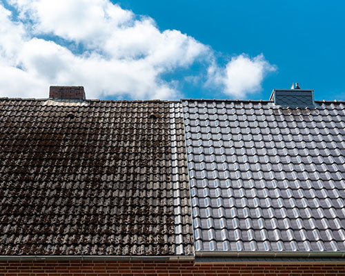 Roof Cleaning