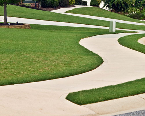 Sidewalk Cleaning